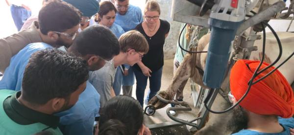 Department of Veterinary Clinical Sciences, University of Copenhagen, and Anette Vestergaard, Hoof Trimmer, demonstrated advanced hoof trimming techniques